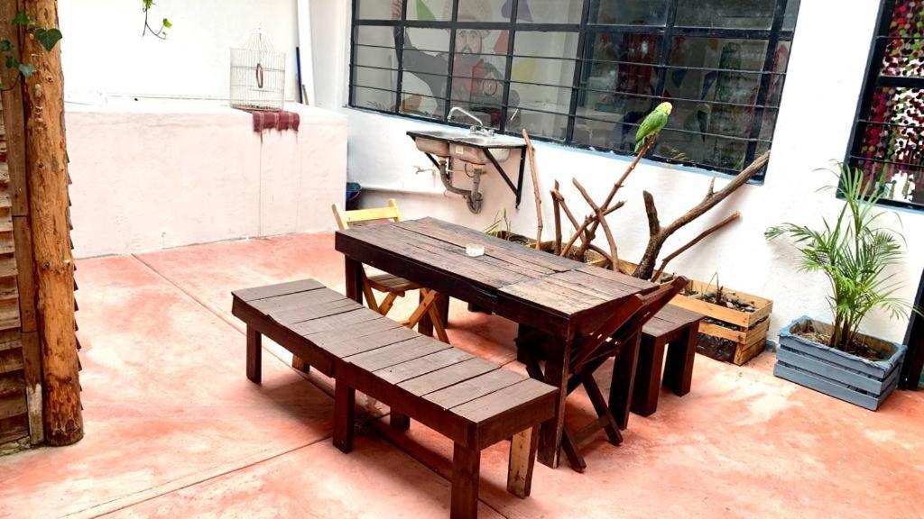 San Cristóbal de Las Casas Hostal Casa 74 Dona Panchita المظهر الخارجي الصورة